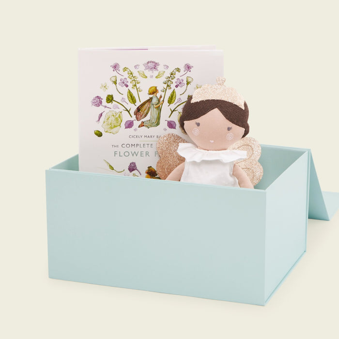 Personalised Fairy Read & Cuddle Set