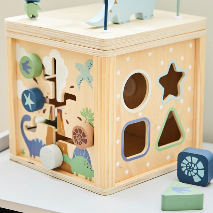 Personalised FSC® Wooden Dinosaur Activity Cube