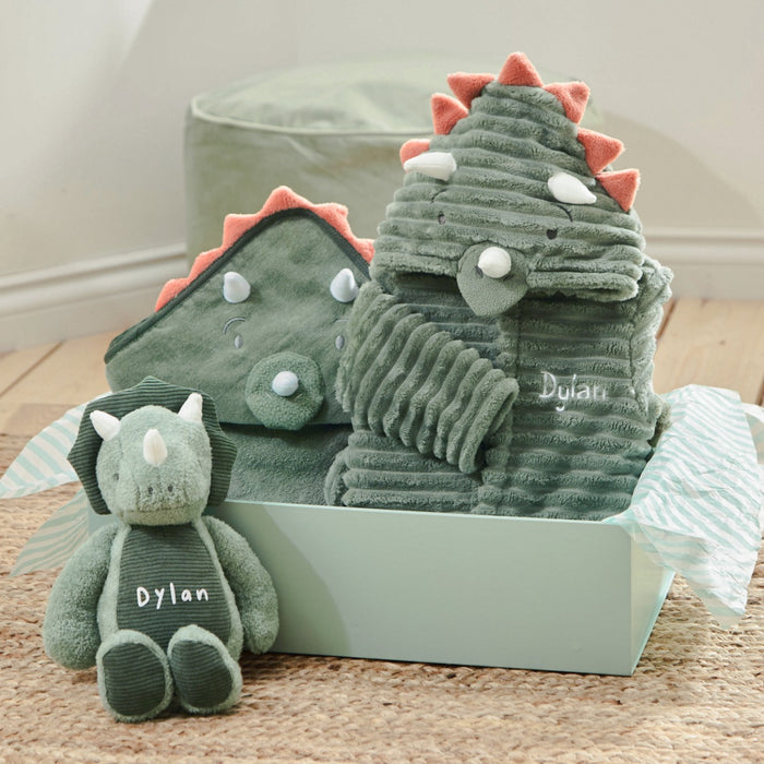 Personalised Green Dino Splash, Snuggle & Cuddle Gift Set