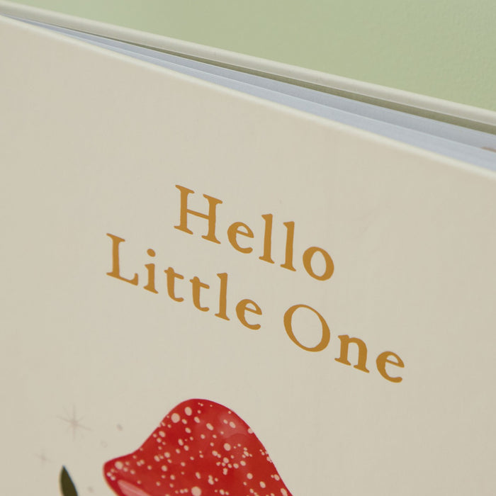Personalised Hello Little One Book