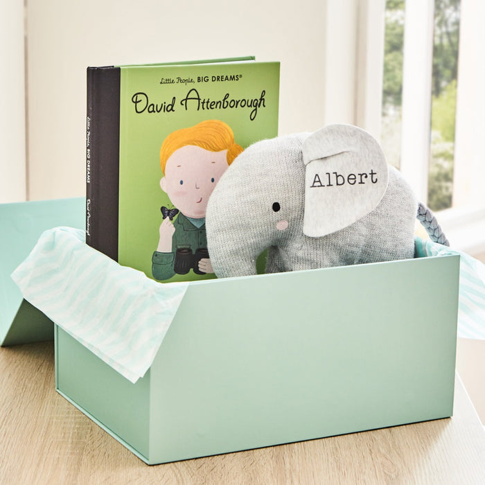Personalised Little Environmentalist Read & Play Gift Set