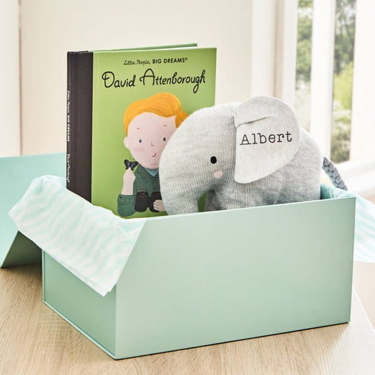 Personalised Little Environmentalist Read & Play Gift Set