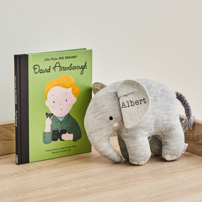 Personalised Little Environmentalist Read & Play Gift Set