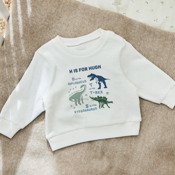 Personalised Natural History Museum™ Dinosaur Alphabet Sweatshirt