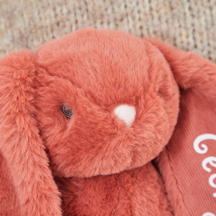 Personalised Pumpkin Bunny Soft Toy