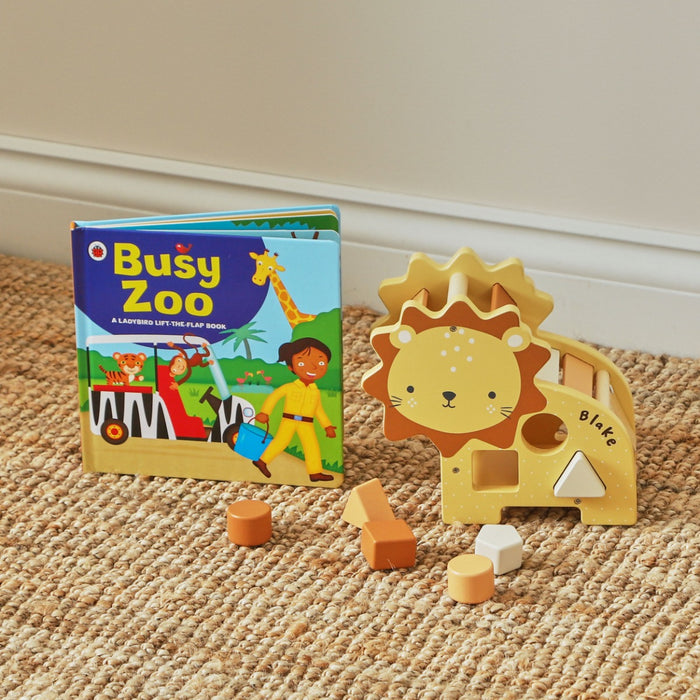 Personalised Read and Play: Lion Shape Sorter