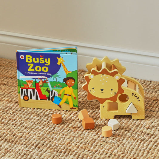 Personalised Read and Play: Lion Shape Sorter