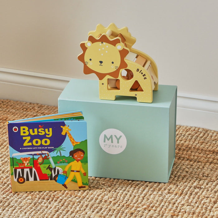 Personalised Read and Play: Lion Shape Sorter