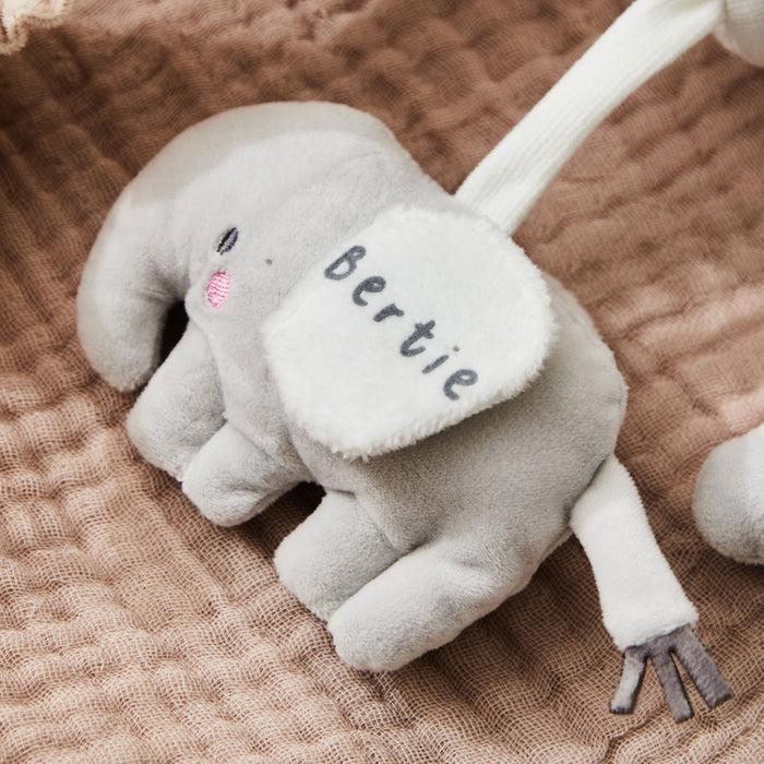 Personalised Safari Animal Spiral Toy