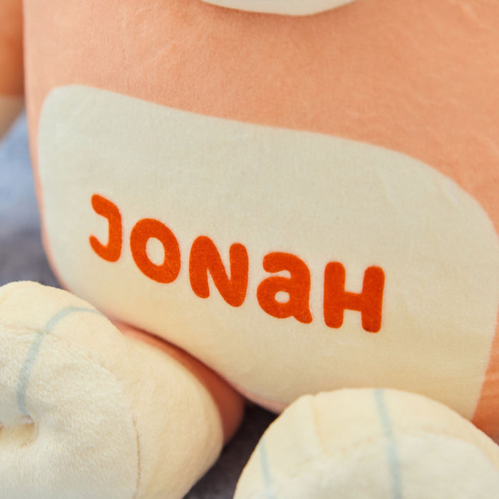 Personalised TY Bingo Medium Soft Toy
