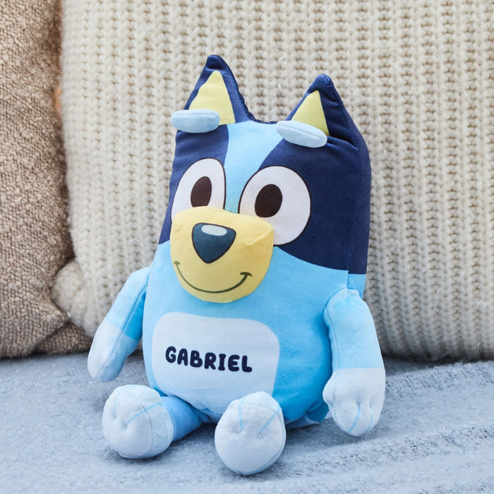 Personalised TY Bluey Medium Soft Toy