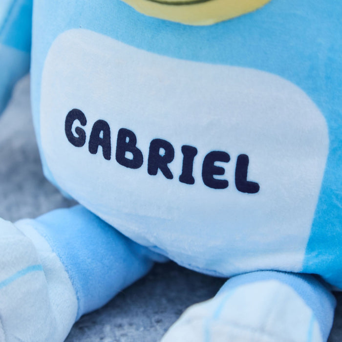 Personalised TY Bluey Medium Soft Toy