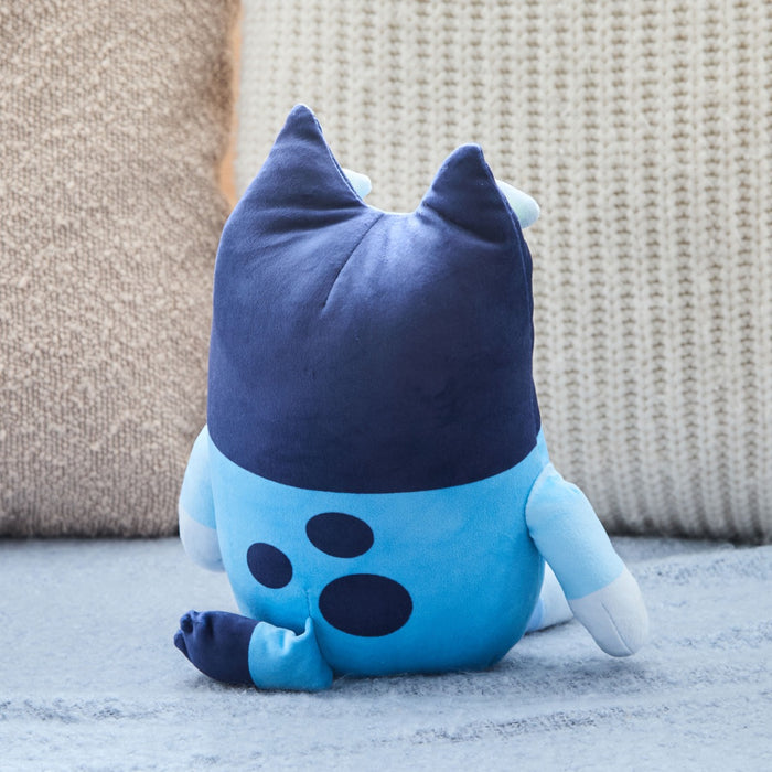 Personalised TY Bluey Medium Soft Toy