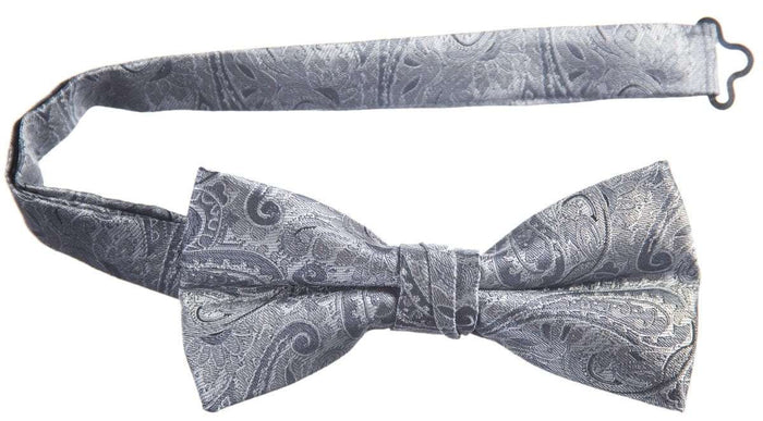 Silver Paisley