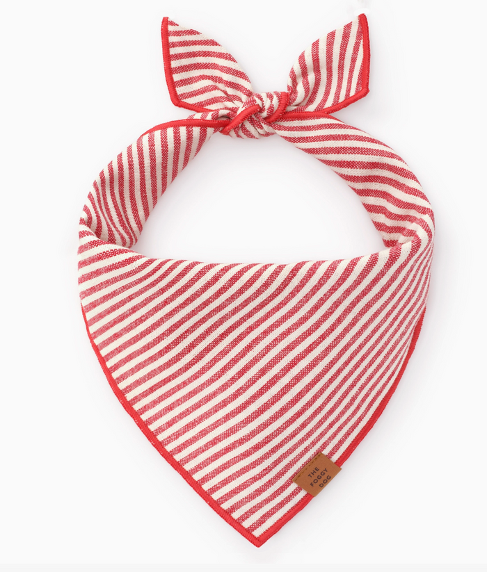 Red Stripe Dog Bandana