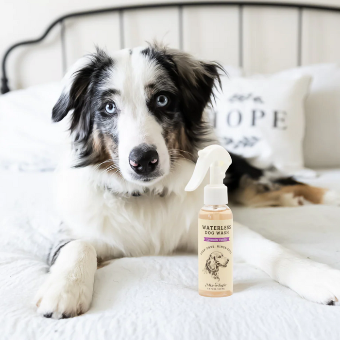 Rinse-Free Dog Wash - Lavender Vanilla