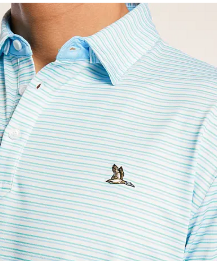 Roost Cayuga Polo