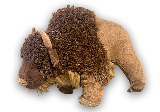 Sue Buffalo