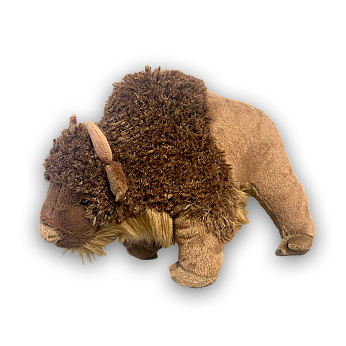 Sue Buffalo
