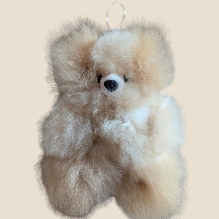 Small plush bear toy on a beige background