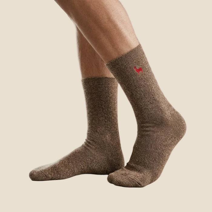 Brown socks with a red logo worn indoors on a light-colored floor.